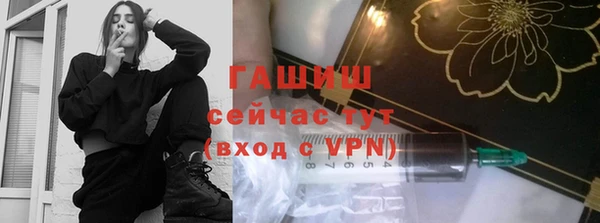 эйфоретик Гусь-Хрустальный