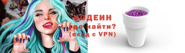 эйфоретик Гусь-Хрустальный