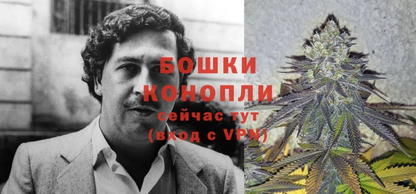 тгк Дмитров