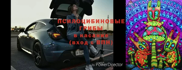ПСИЛОЦИБИНОВЫЕ ГРИБЫ Дмитровск