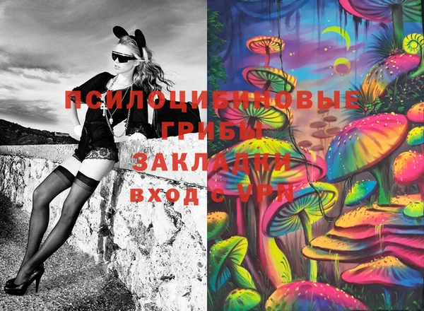 СК Дмитриев
